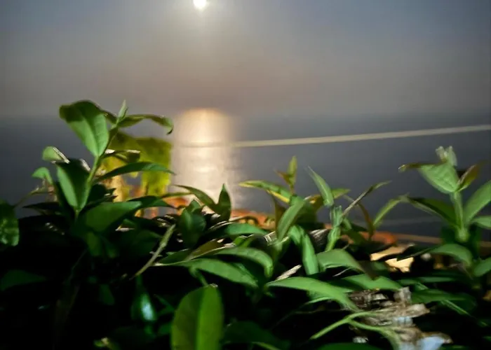 Turino House 아파트